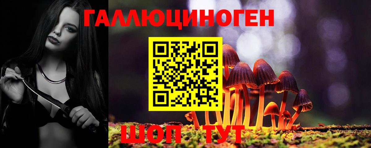 Галлюциногенные грибы Psilocybe Волгоград